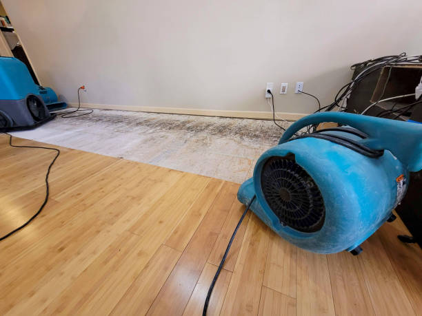 Professional Water Extraction technician working in Suitland, MD